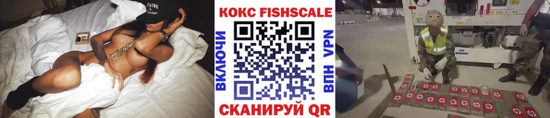 Купить закладки  Ленинск  Cocaine Эквадор 