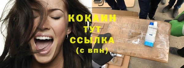 спиды Богородицк