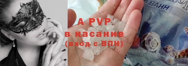 спиды Богородицк