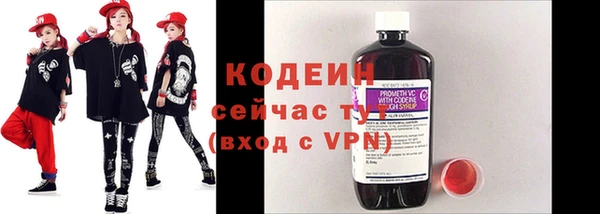 спиды Богородицк