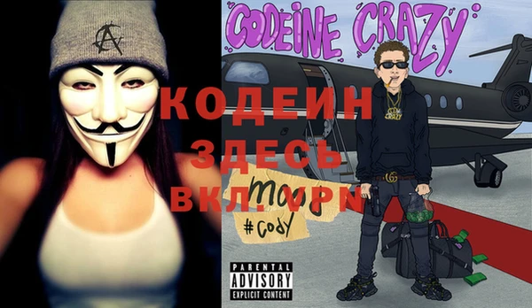 шишки Богородск