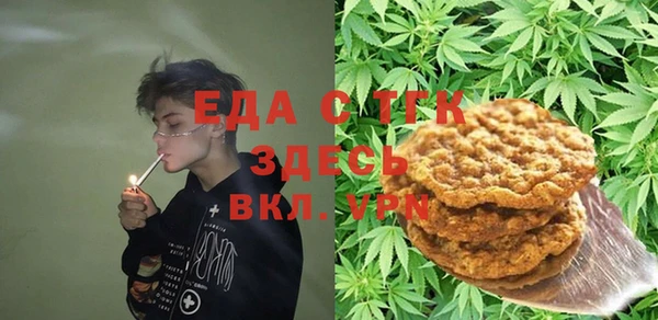спиды Богородицк