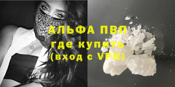 спиды Богородицк